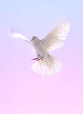 Photo de Jean-Guy Duchesne