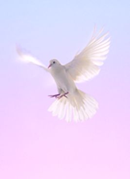 Photo of Yvonne-Talbot Simard