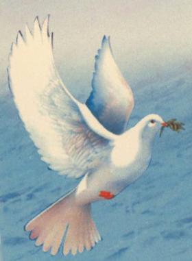 Photo of Denise Racine