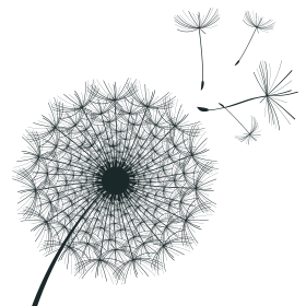 Photo de Pierre Lafrance