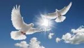 Photo of Jeannette Picard