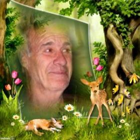 Photo de Monsieur-Roger Charette