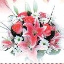 Photo of Gloria Johnson