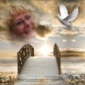 Photo of Andrea Spano