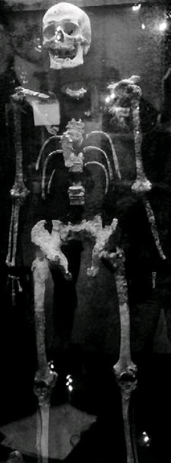 Photo de Alexis Lapointe