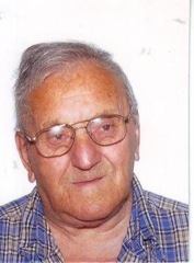 Photo of Alcide Vigneault